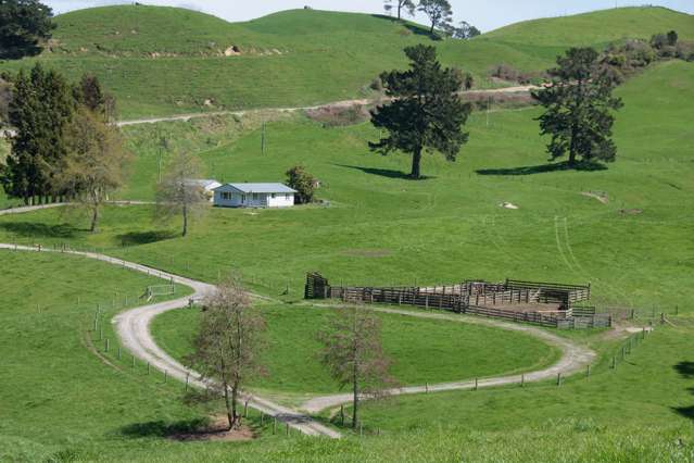 44 Coates Road Waikite Valley_4