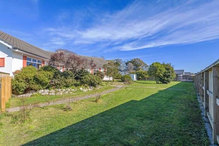 33 Daniell Street Bulls_17