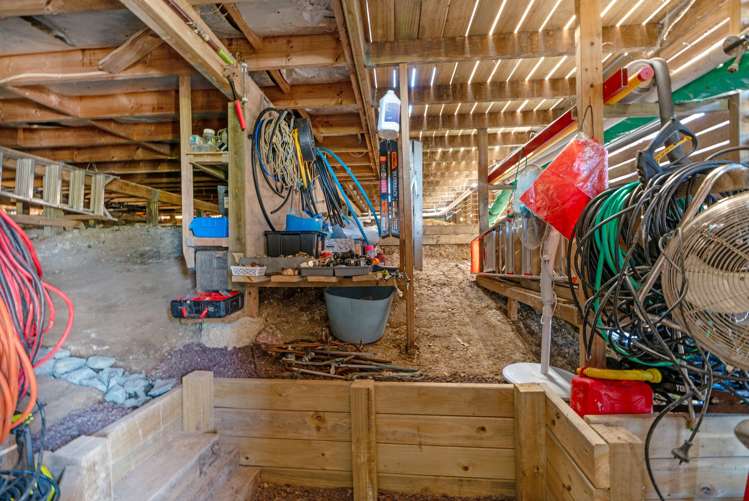 113 Vipond Road Stanmore Bay_34