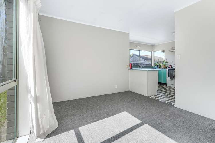 44b Macfarlane Street Hamilton East_6