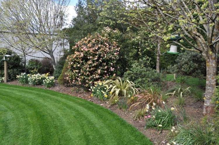 62 Rutland Street Riversdale_10