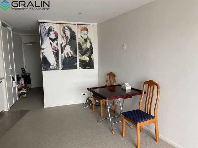 13e/156 Vincent Street Auckland Central_4