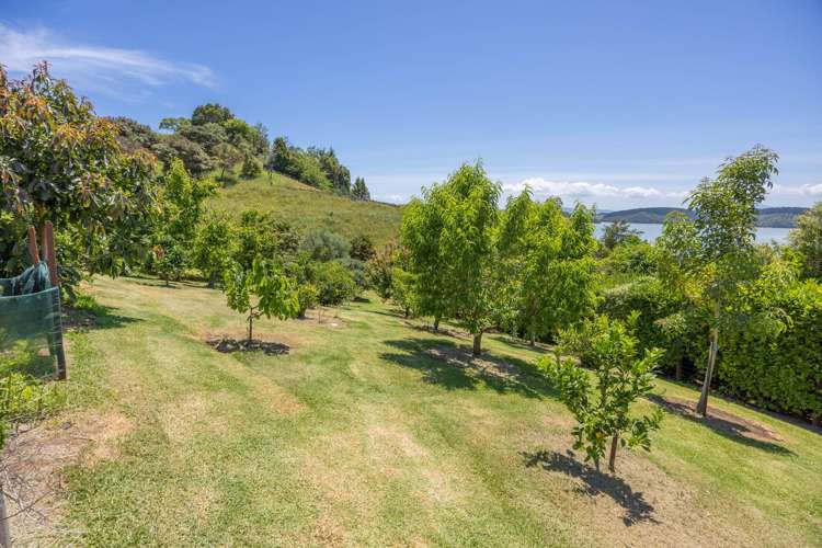 1111c Te Waitere Road Waitomo_21