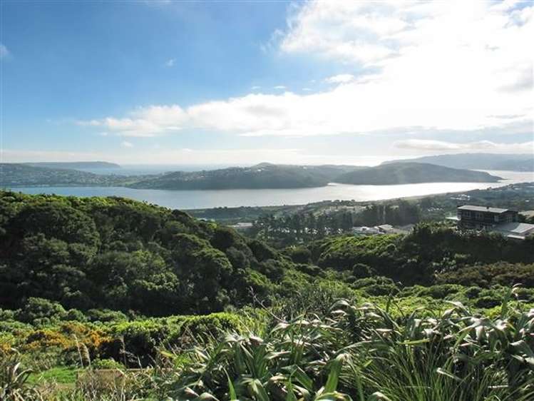 16 Kahurangi Heights Aotea_20
