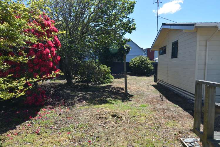 295 Tweed Street Georgetown_15