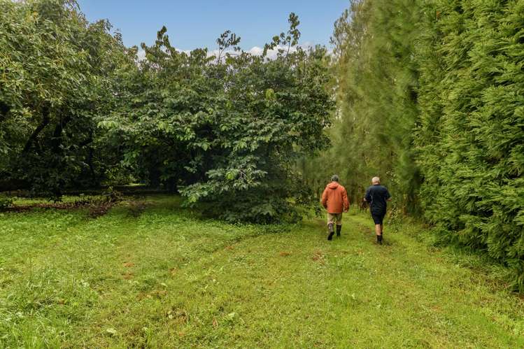 2A Oikimoke Road Te Puna_17