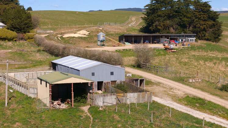 137 McLeods Road Palmerston_20