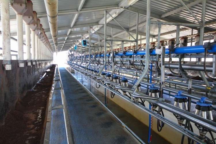 801 Burma Road Tapora_10