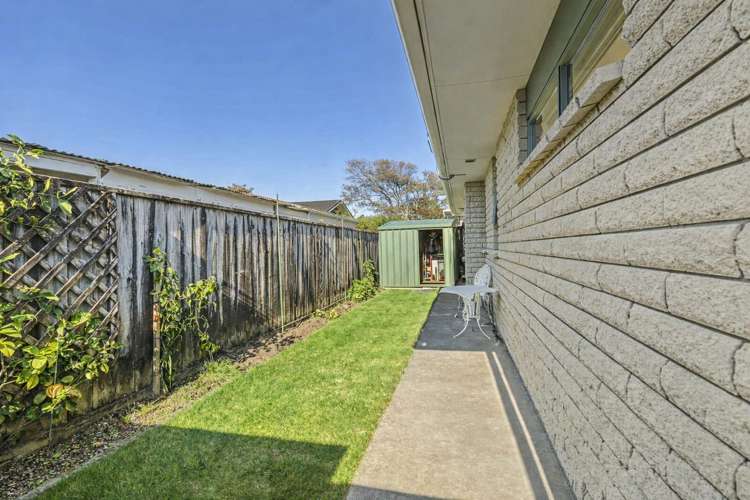 153A Carrington Street Vogeltown_21