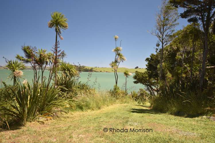 435 Heatley Road Whakapirau_22