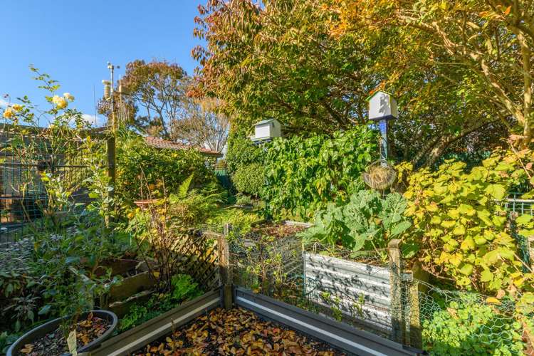 32 Oban Road Road Greerton_13