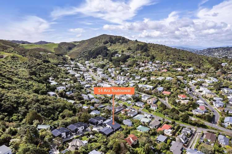 14 Ara Toutouwai Karori_21