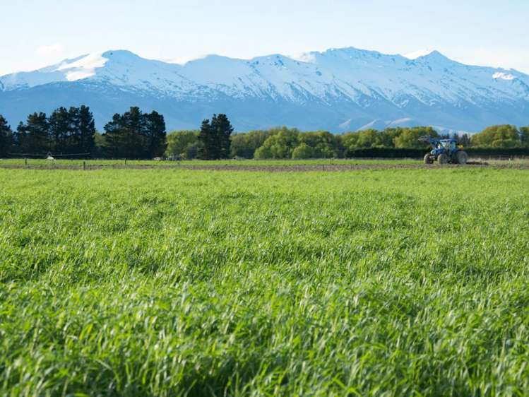 276 Talbot Road Fairlie_8