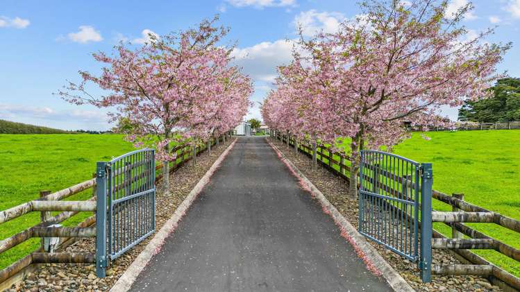 137 Hart Road Pukekohe_38