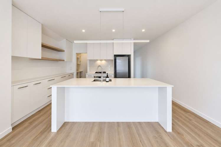 105 Marsh Avenue Morrinsville_1