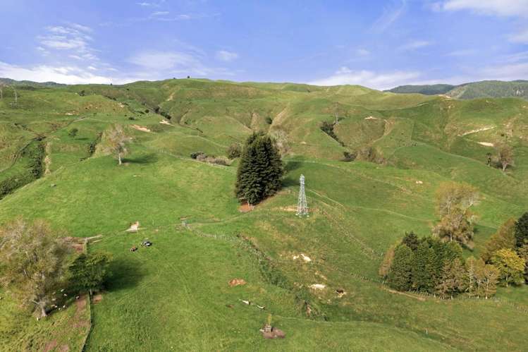 3099 State Highway 4 Te Kuiti_19