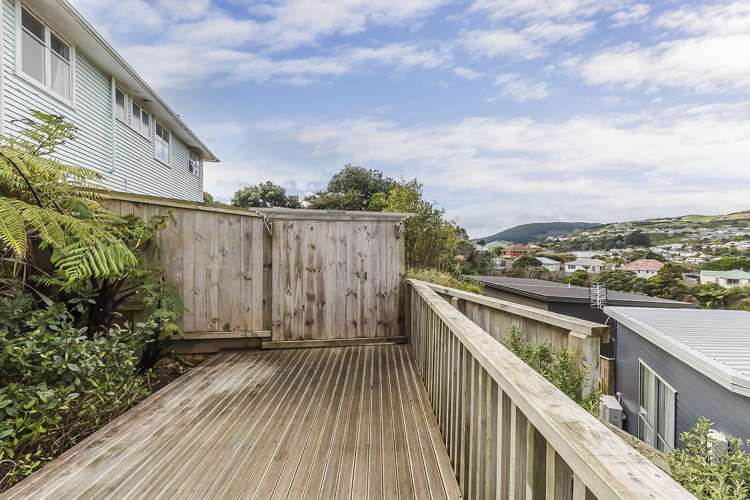 19 Mascot Street Tawa_19