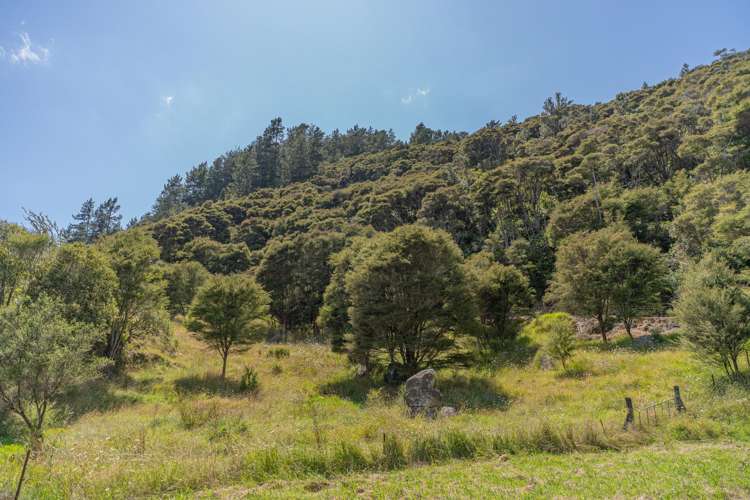 184 Hikuai Settlement Road Hikuai_22