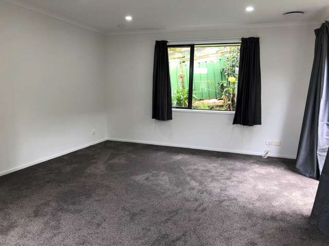 293C Hillsborough Road Mt Roskill_3