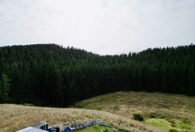 Boundary Creek Road Rosebery_2
