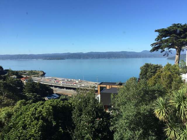 Charming 3-bedroom home in Wadestown