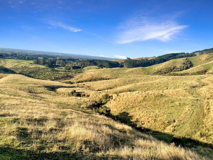 68a Greens Road Linton_3