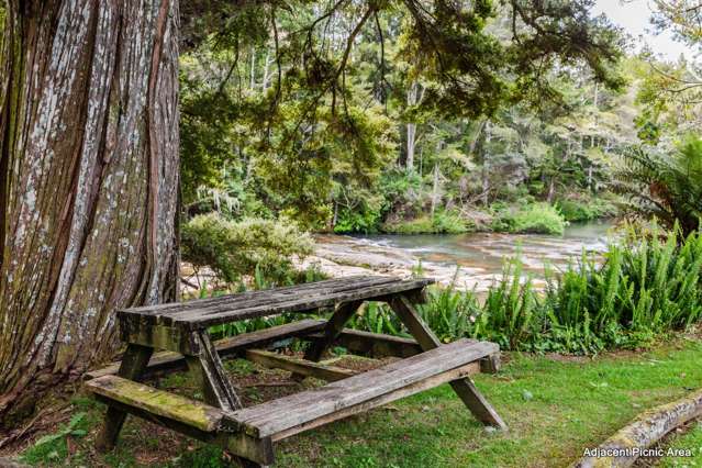 2f Auckland Road Warkworth_1