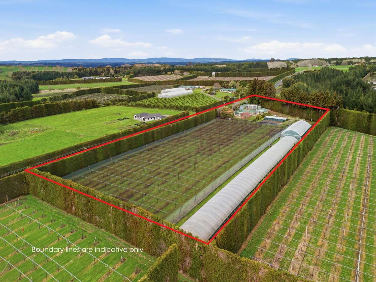 1040 Te Matai Road_0