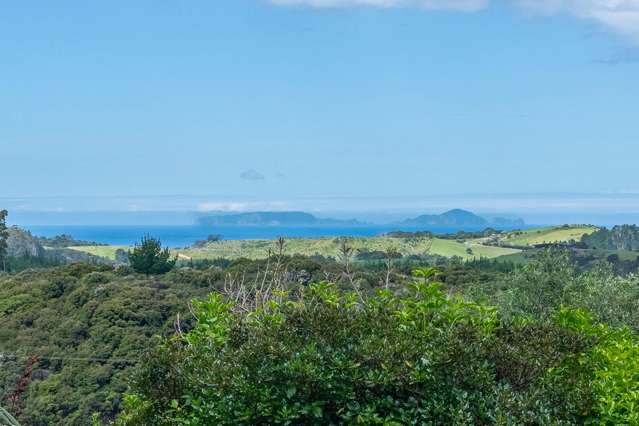 161 Clements Road Matapouri_1