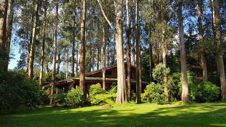 13 Gladstone Road Levin_24