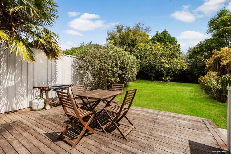 127 Williamson Avenue Grey Lynn_6