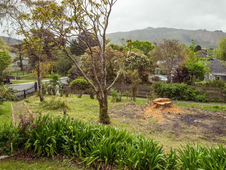 1 Chatsworth Road Silverstream_20