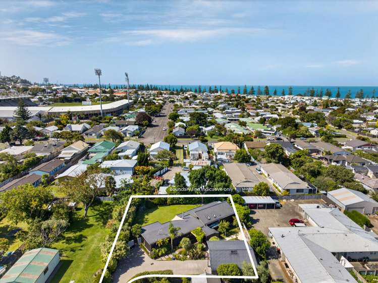 185A Georges Drive Napier South_47