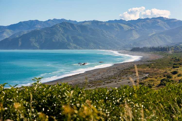 40 State Highway 1 Kaikoura Surrounds_16