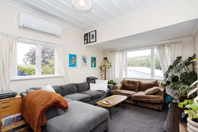 160 Main South Road Green Island_3