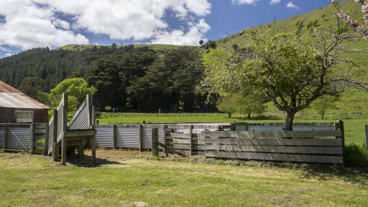 1663 Opaki Kaiparoro Road Masterton_12