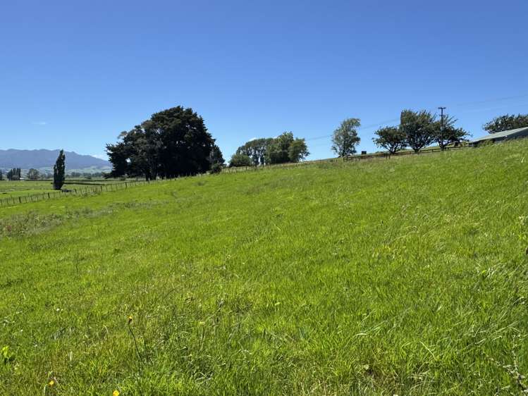 Lot 1 Pokuru Road Rd 3 Te Awamutu_6