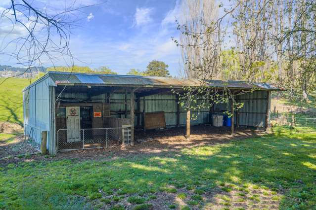 468 Waikoau Road Tutira_3