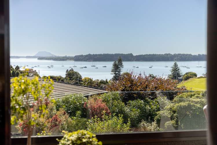 17 Farnell Court Omokoroa_21