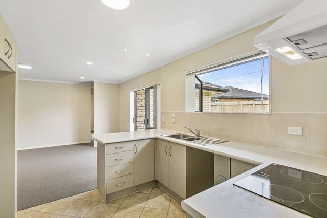 38 Nicholas Gibbons Drive Clendon Park_4