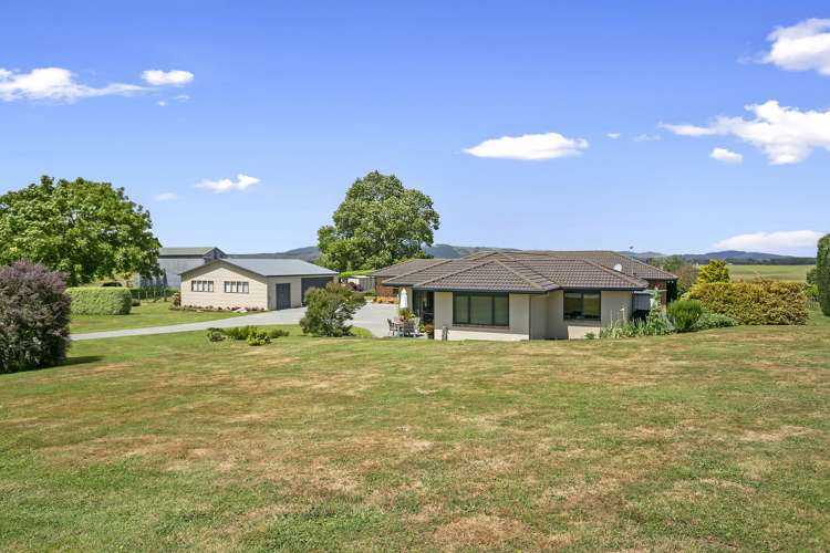 255 Long Road Te Awamutu_5