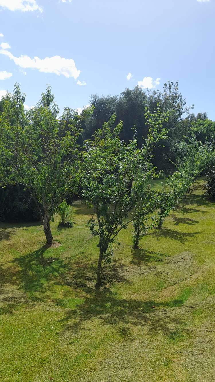 279 Taratara Road Kaeo_32