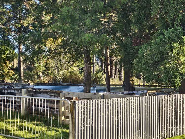 736 State Highway 7 Dobson_23