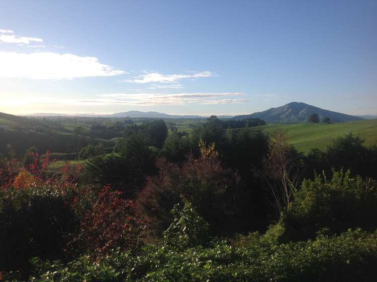 193 Te Tahi Road Puketotara_12