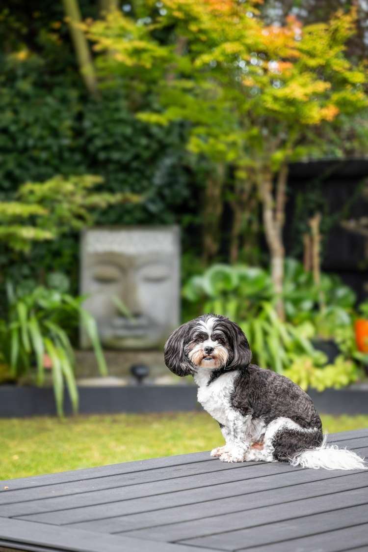 500c Harewood Road_4