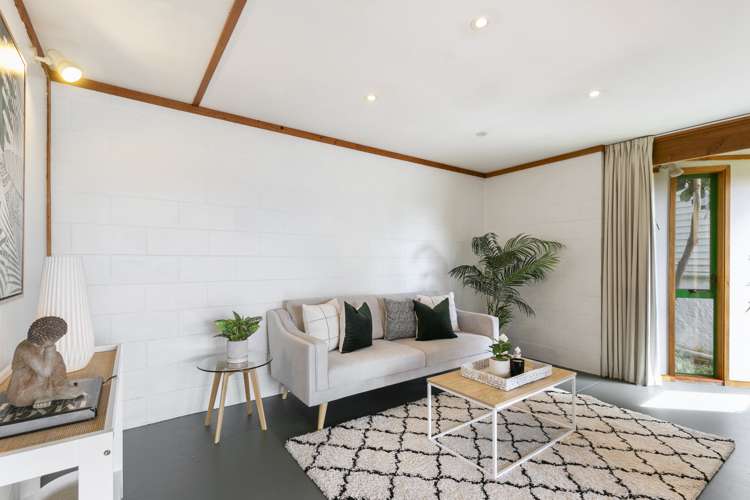 6 Koromiko Road Aro Valley_6