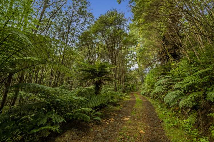 850 Rangihau Road Coroglen_9