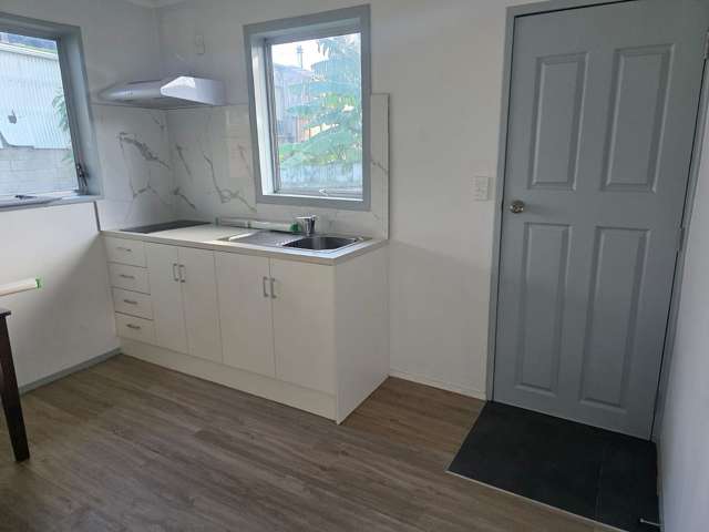 1/9 Slim Place Clendon Park_3