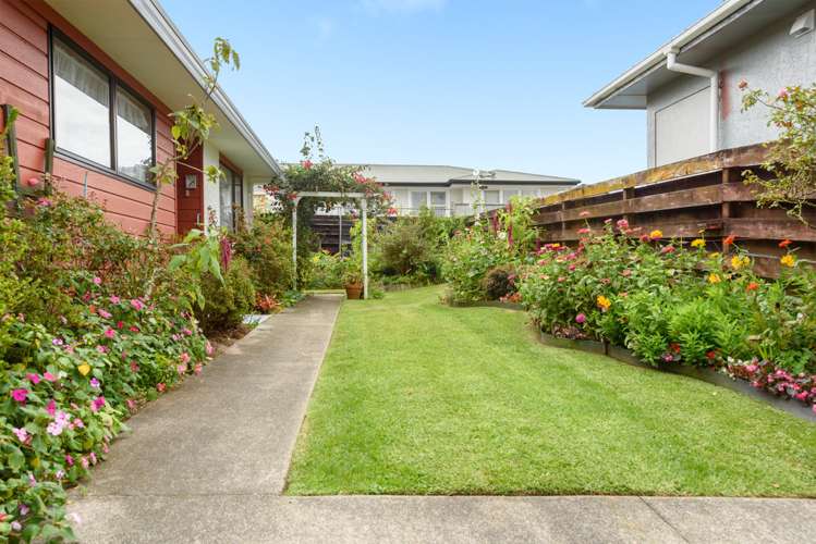 72b Otumoetai Road Judea_16