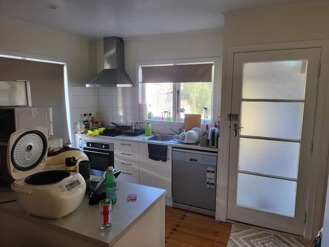 26 Wilsher Crescent Henderson_2